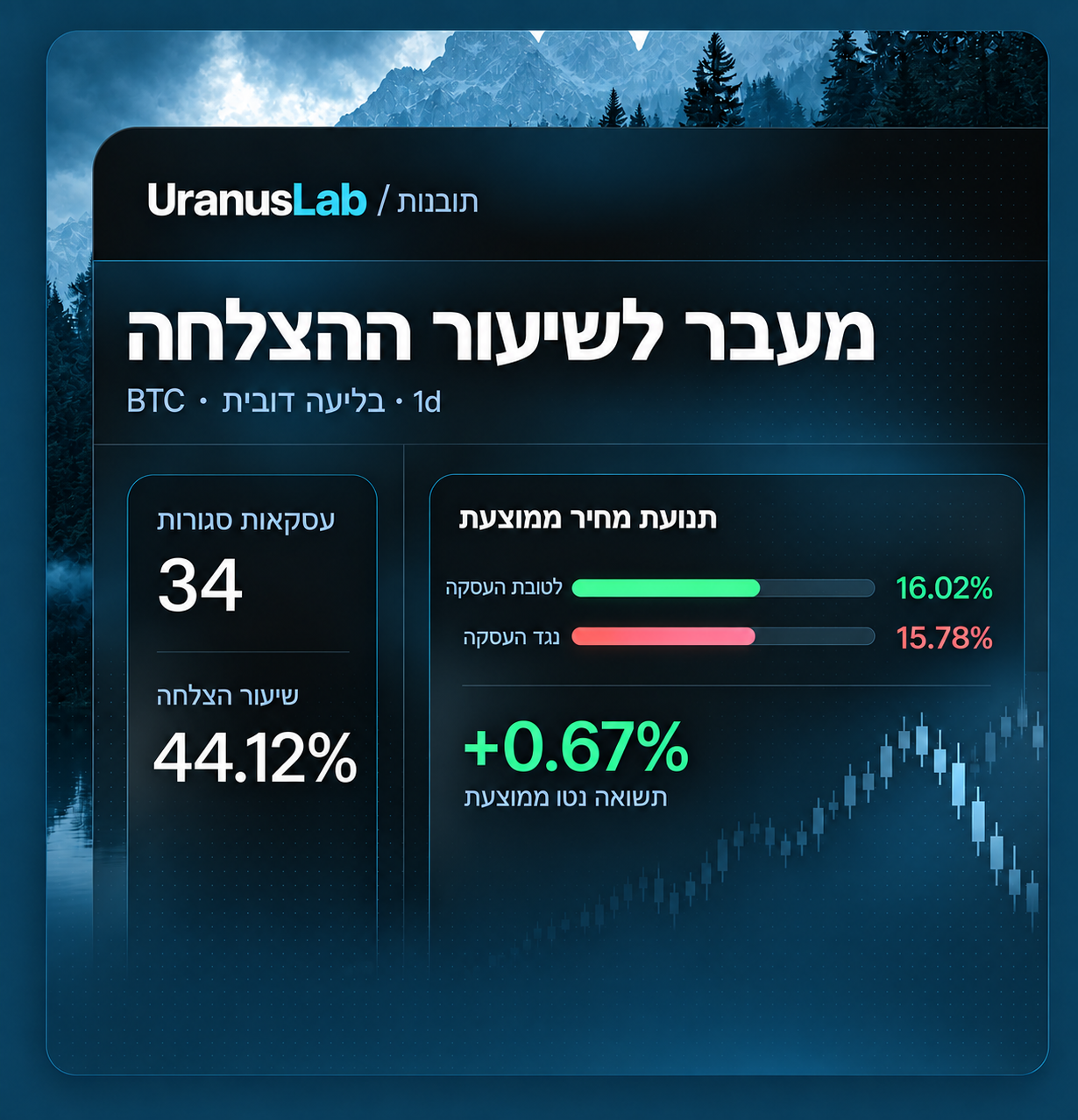 תובנות מחקר מעבר לשיעור ההצלחה